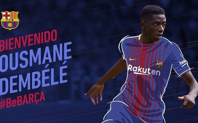 中网公司表 中网公司表